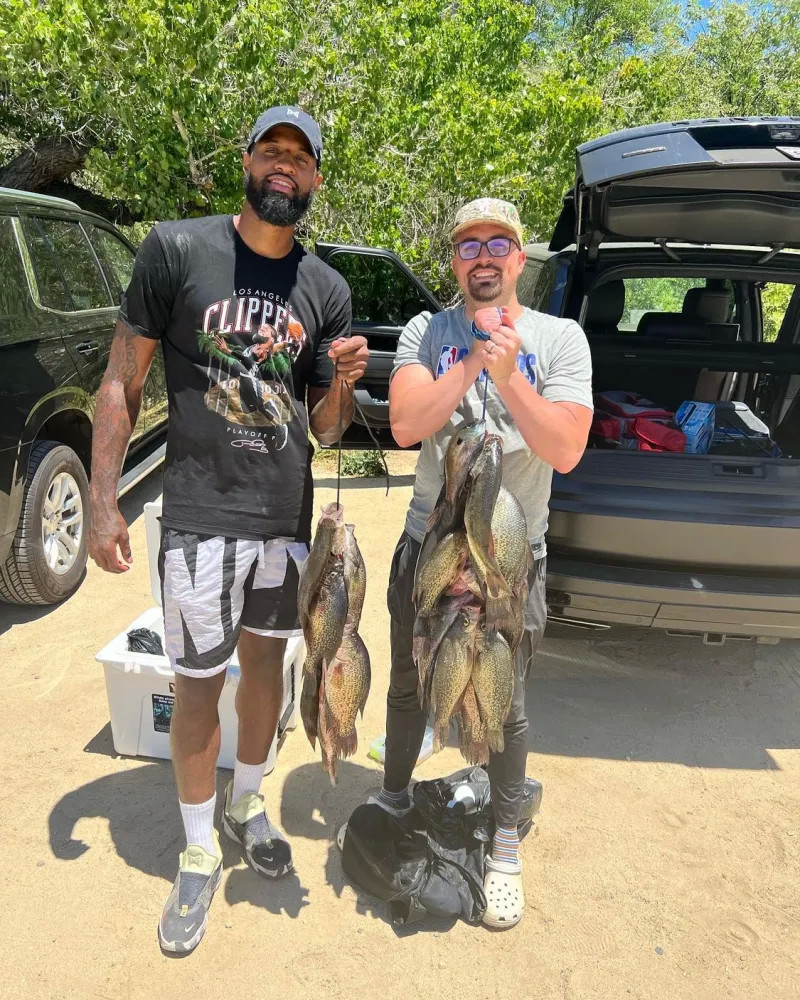 仅是为了短 仅是为了短