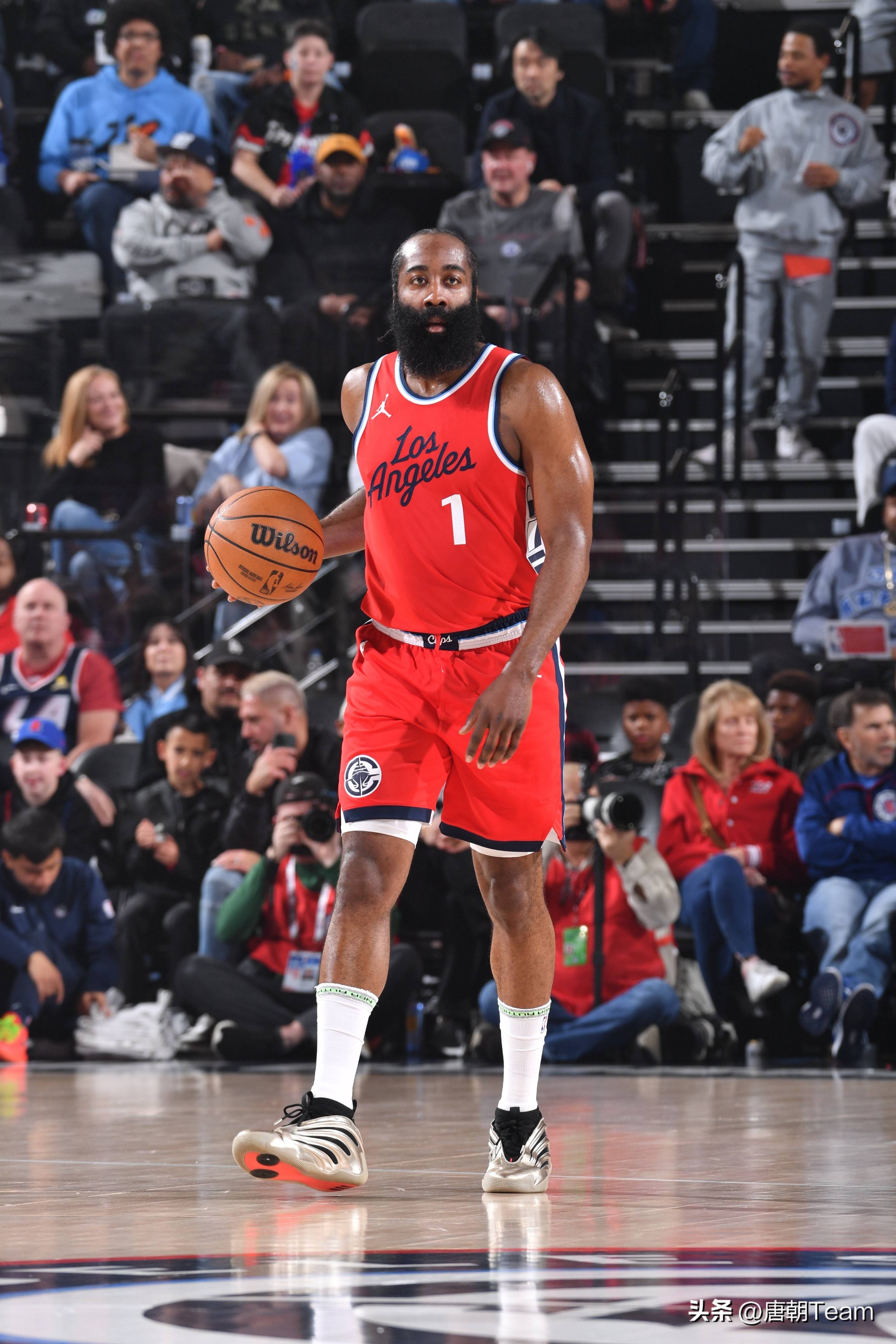 坛冉冉升起 坛冉冉升起